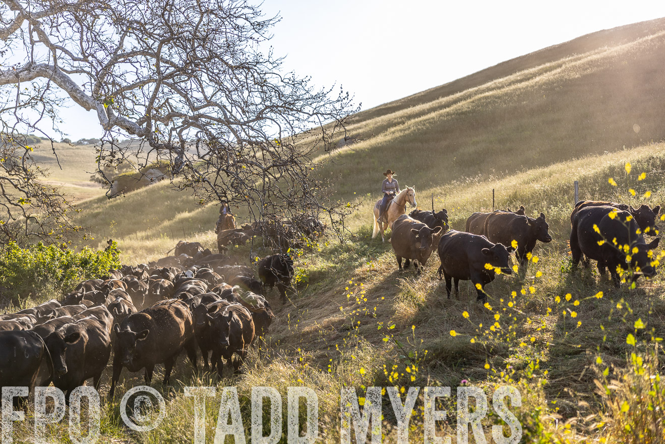 TMyers_CalPoly_CA_May2023-528132