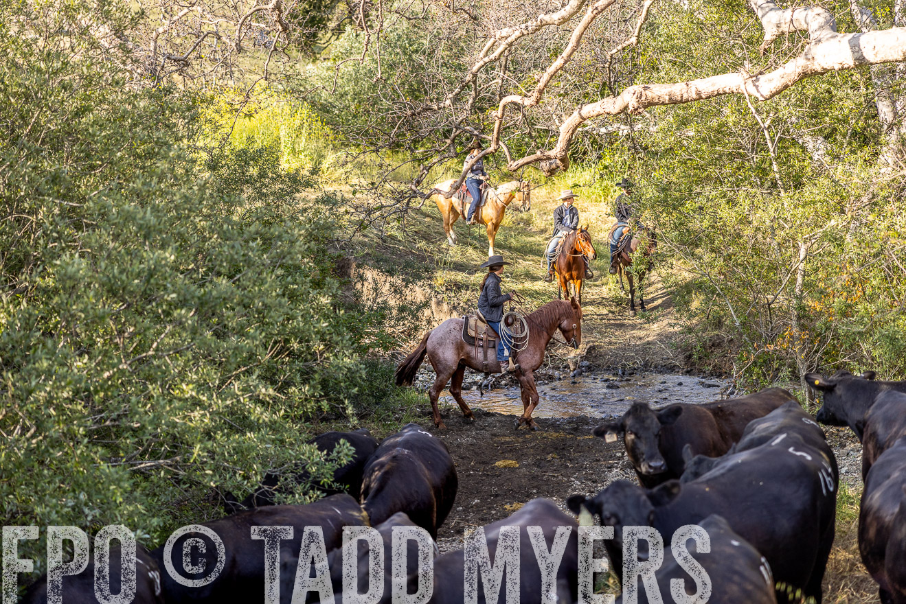 TMyers_CalPoly_CA_May2023-528520