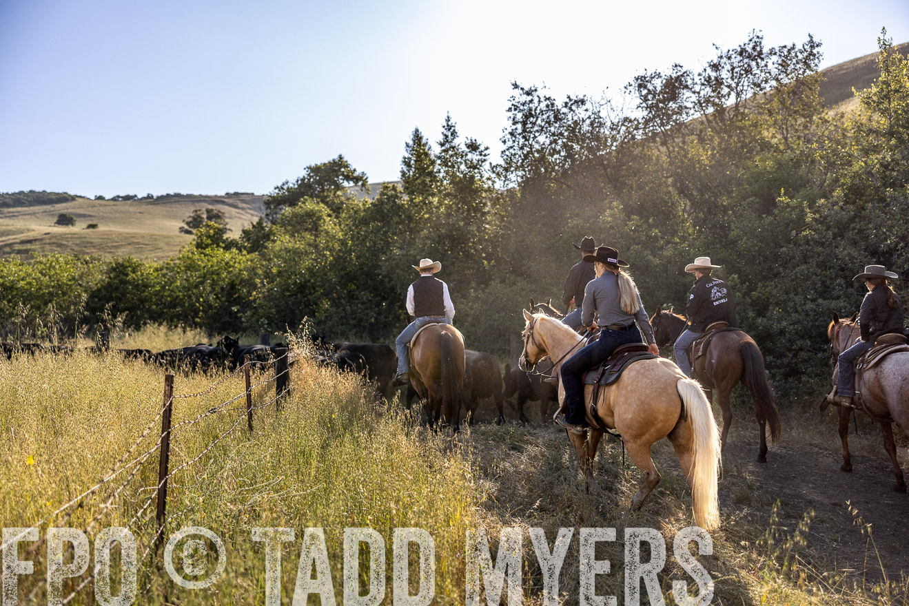 TMyers_CalPoly_CA_May2023-528655