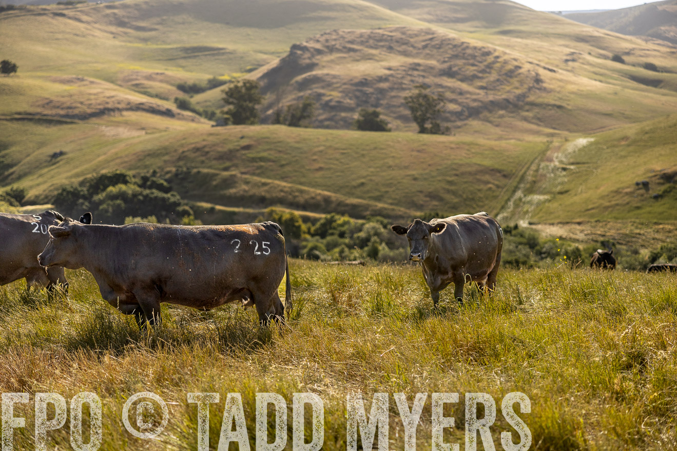 TMyers_CalPoly_CA_May2023-529744
