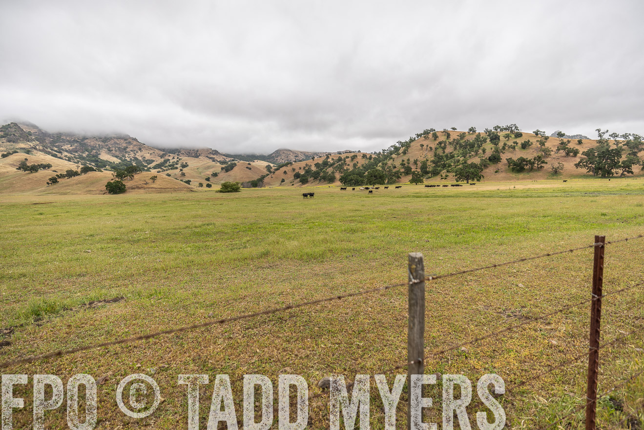 TMyers_SanBenitoRanch_CA_May2023-521086