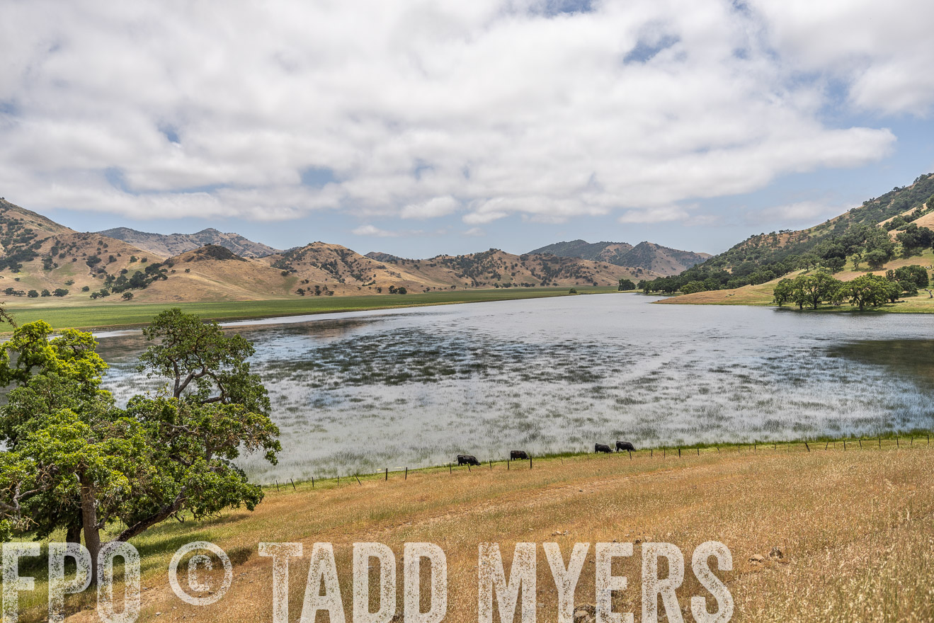 TMyers_SanBenitoRanch_CA_May2023-521412