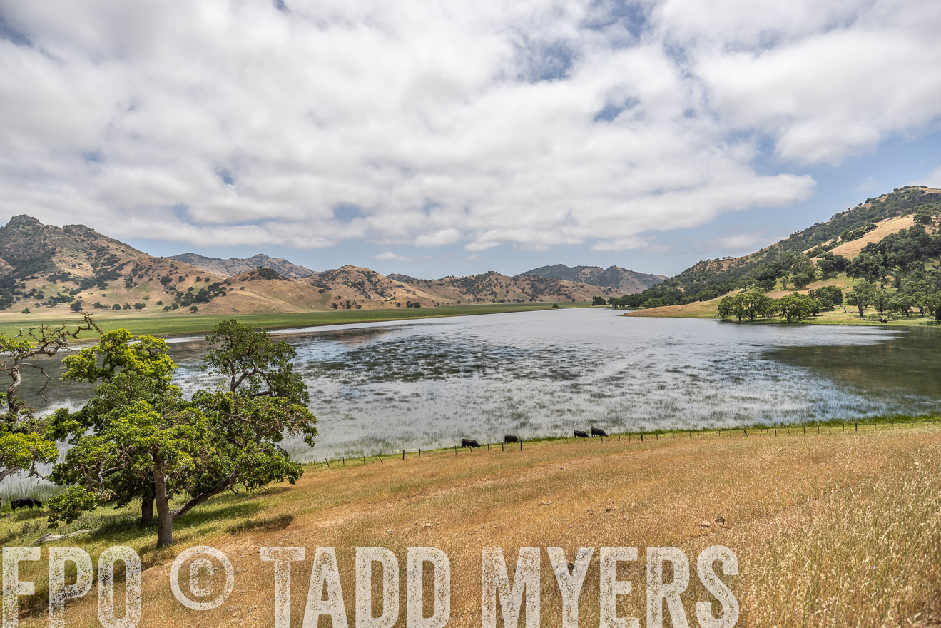 TMyers_SanBenitoRanch_CA_May2023-521416