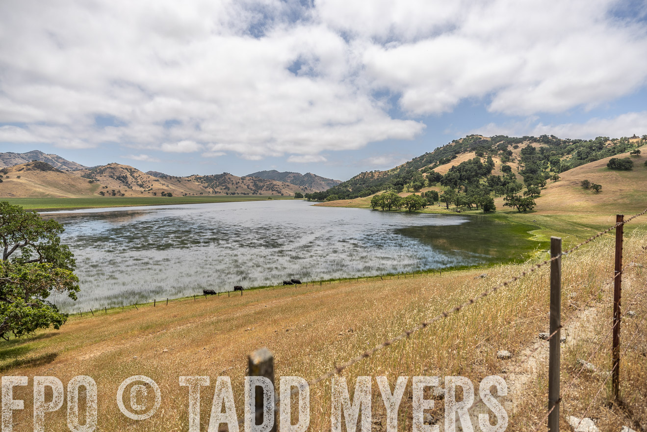 TMyers_SanBenitoRanch_CA_May2023-521429