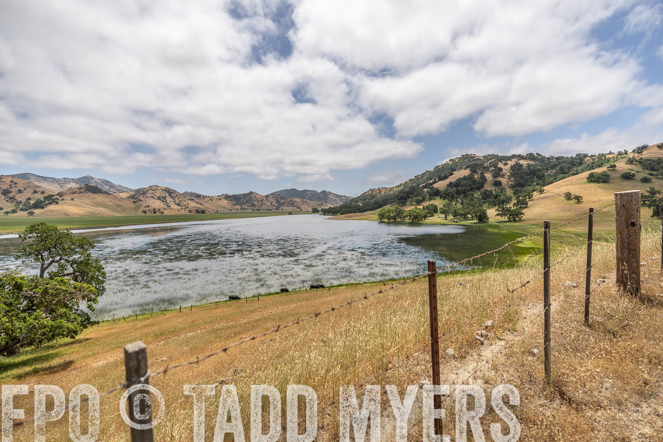 TMyers_SanBenitoRanch_CA_May2023-521451