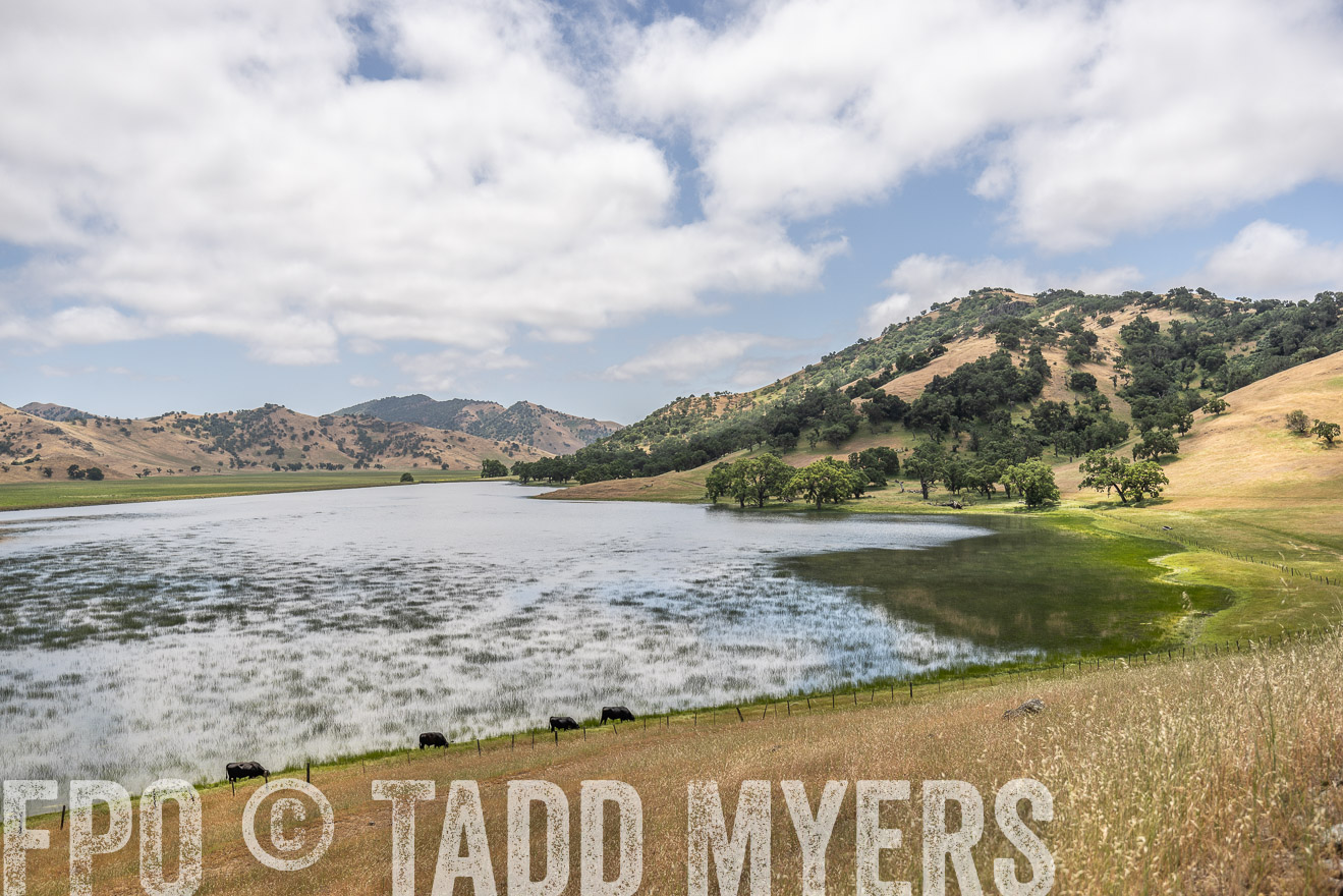 TMyers_SanBenitoRanch_CA_May2023-521456