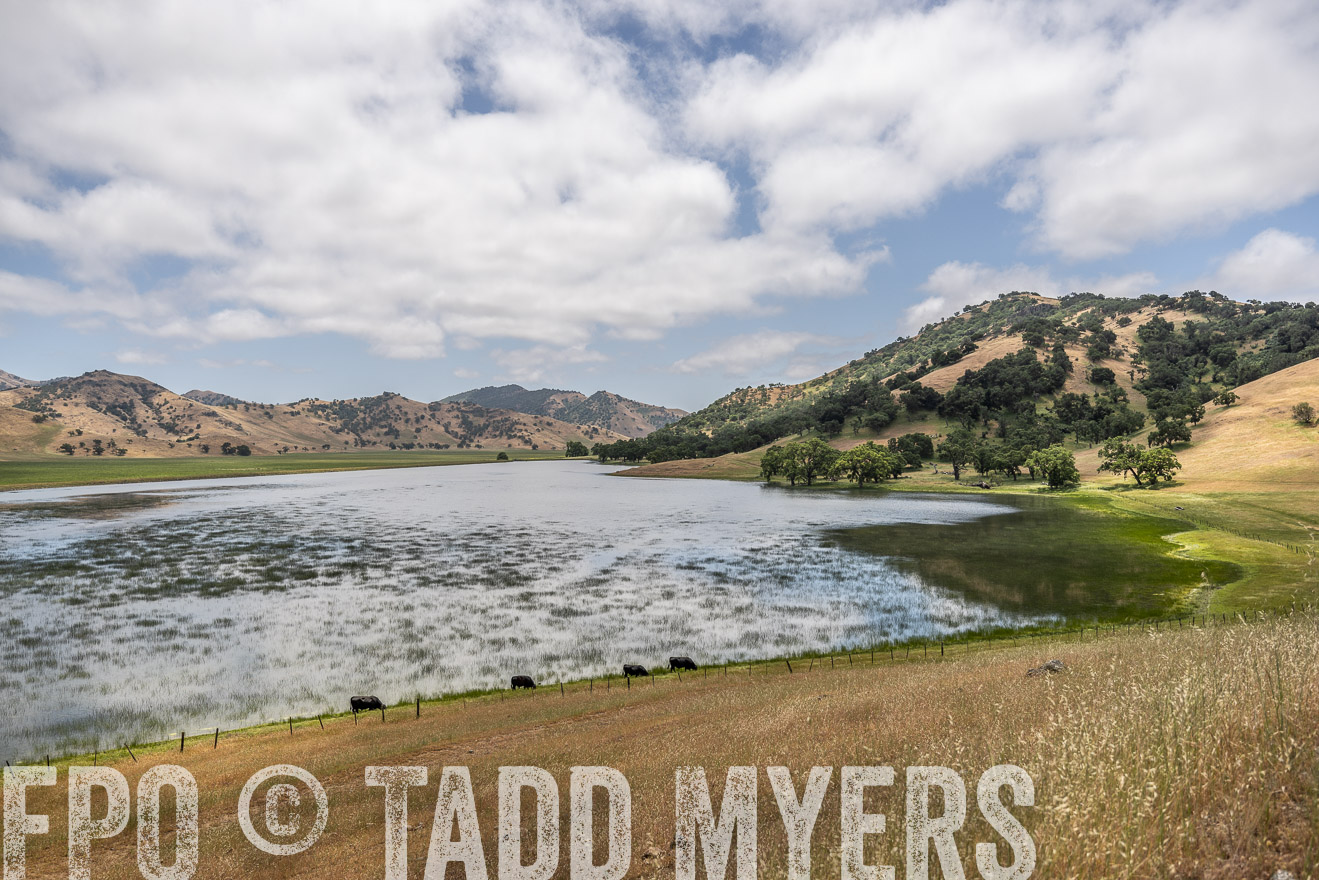 TMyers_SanBenitoRanch_CA_May2023-521458