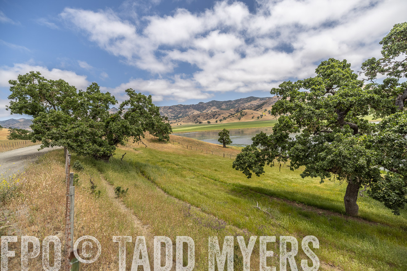 TMyers_SanBenitoRanch_CA_May2023-521480