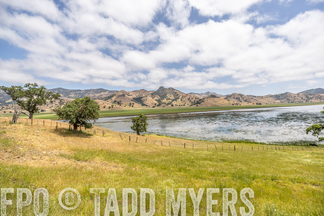 TMyers_SanBenitoRanch_CA_May2023-521484