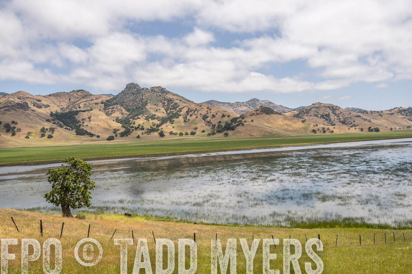 TMyers_SanBenitoRanch_CA_May2023-521492