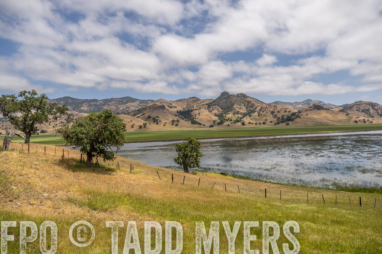 TMyers_SanBenitoRanch_CA_May2023-521499