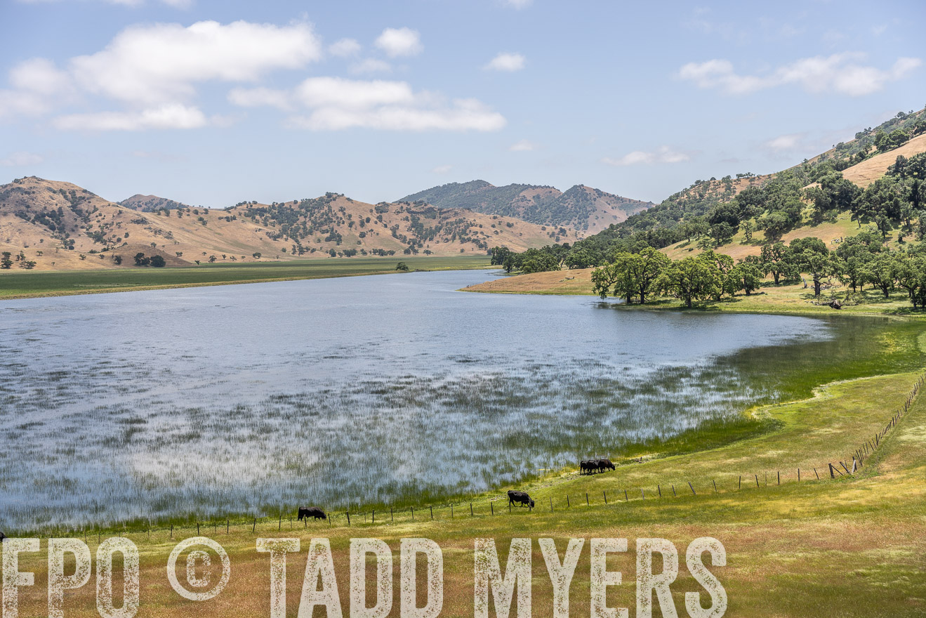 TMyers_SanBenitoRanch_CA_May2023-521504