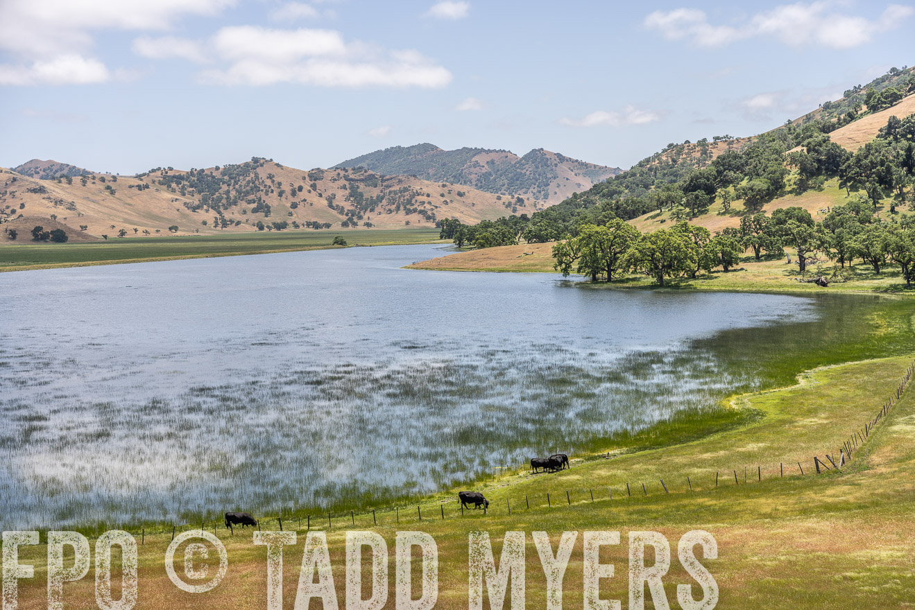 TMyers_SanBenitoRanch_CA_May2023-521509