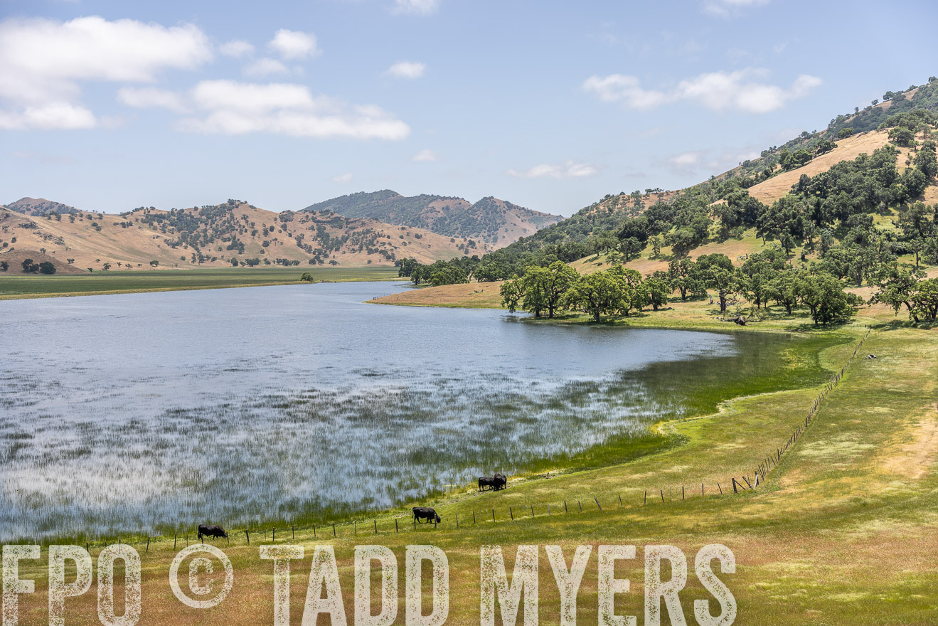 TMyers_SanBenitoRanch_CA_May2023-521510