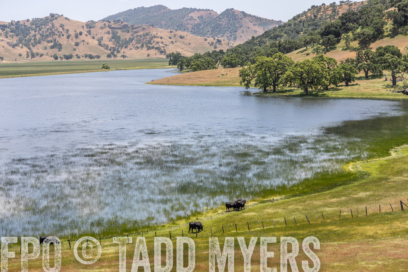 TMyers_SanBenitoRanch_CA_May2023-521514