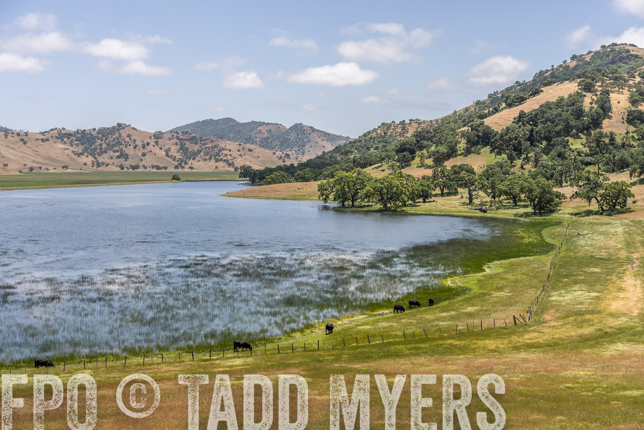 TMyers_SanBenitoRanch_CA_May2023-521534