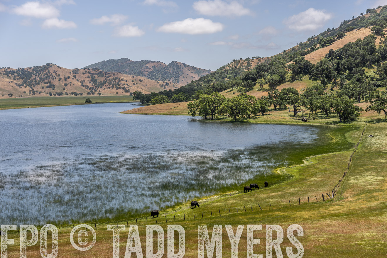 TMyers_SanBenitoRanch_CA_May2023-521544