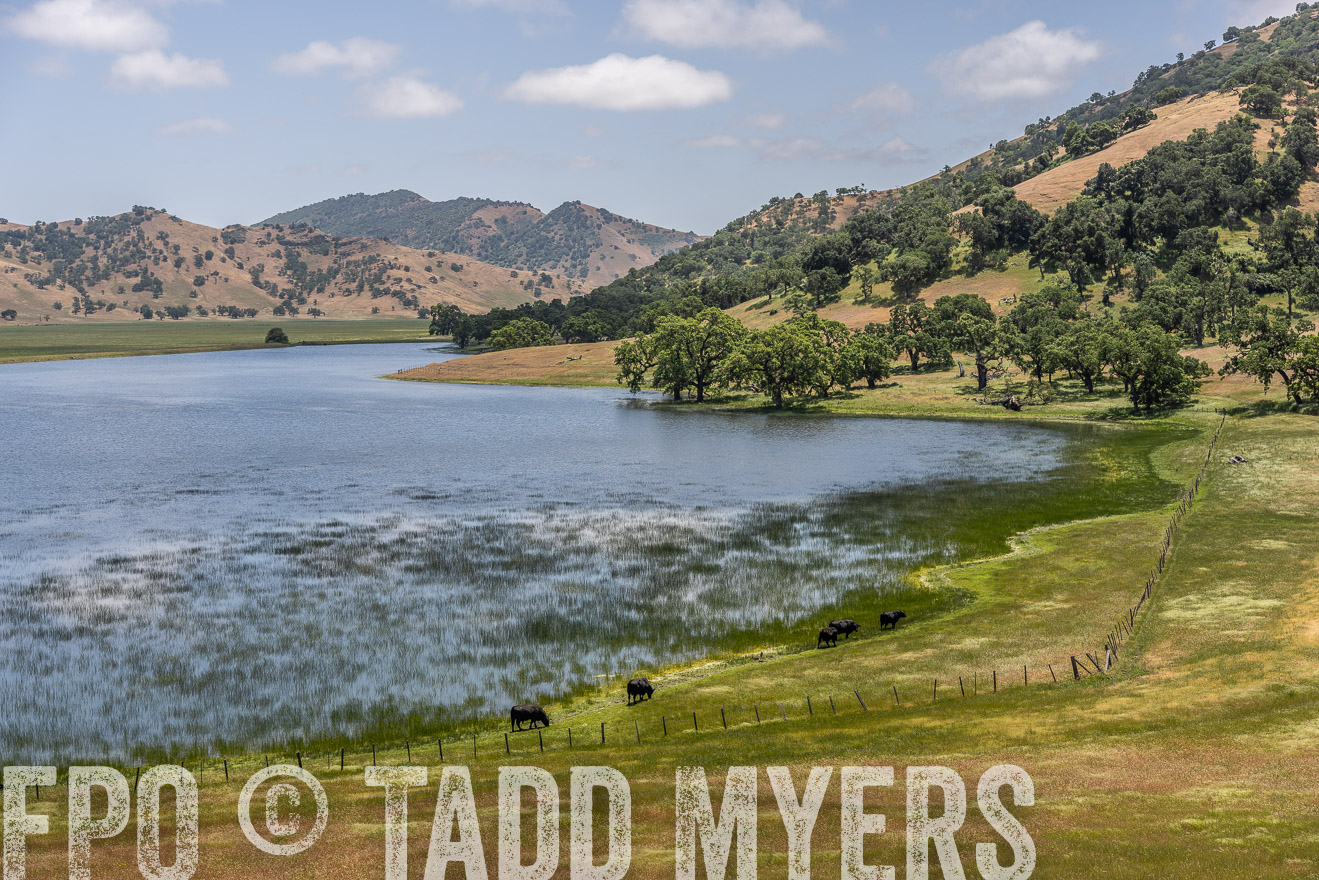 TMyers_SanBenitoRanch_CA_May2023-521547
