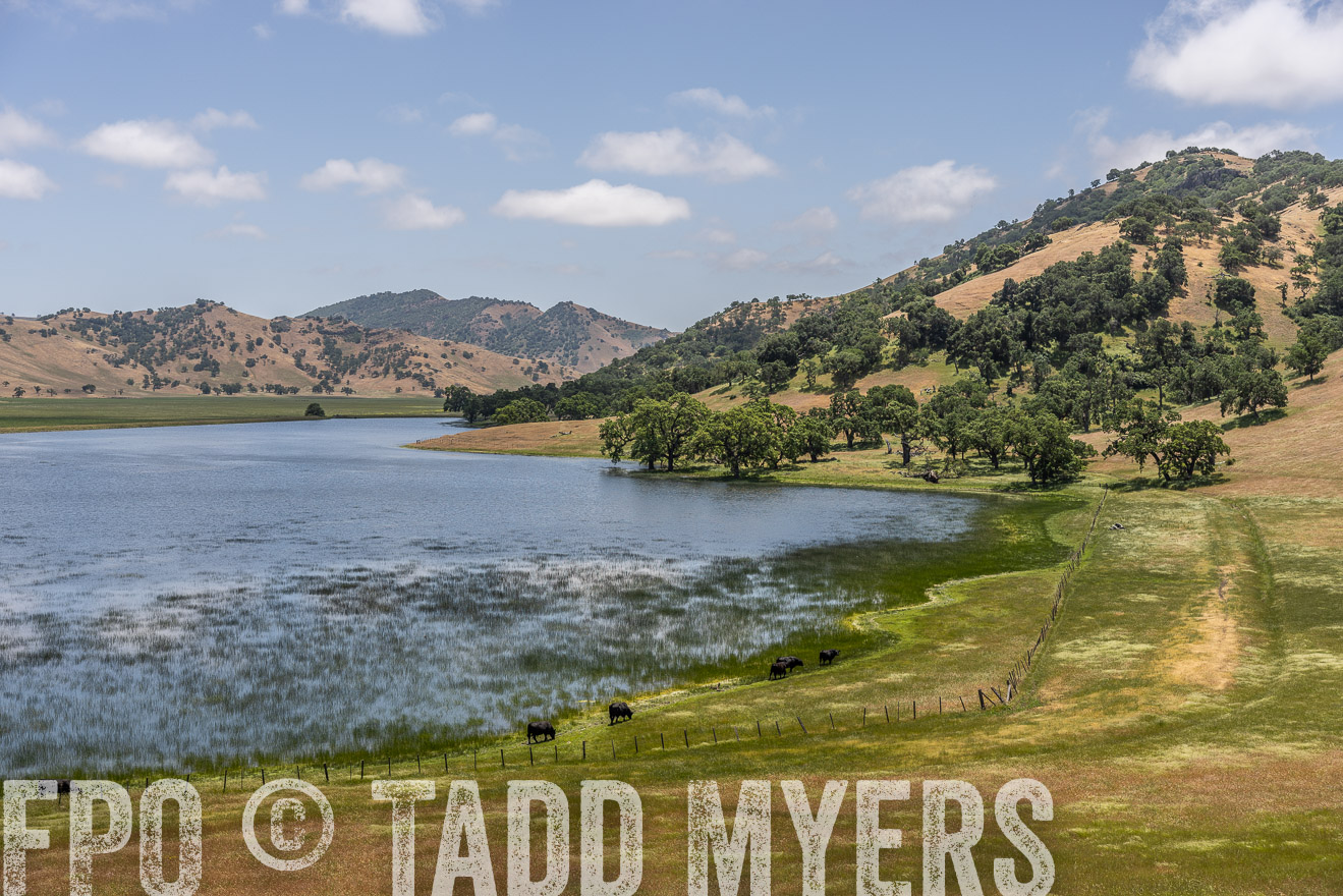 TMyers_SanBenitoRanch_CA_May2023-521549