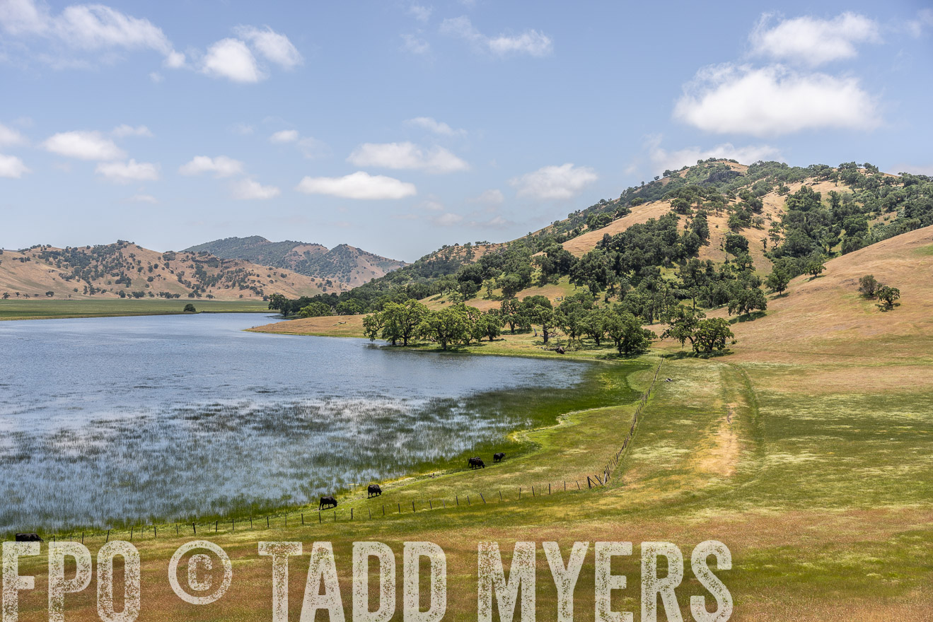 TMyers_SanBenitoRanch_CA_May2023-521554