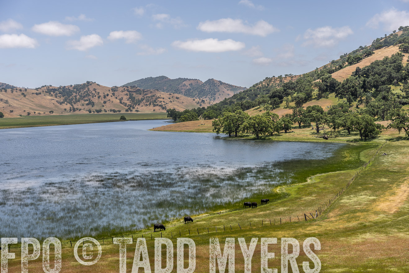 TMyers_SanBenitoRanch_CA_May2023-521557