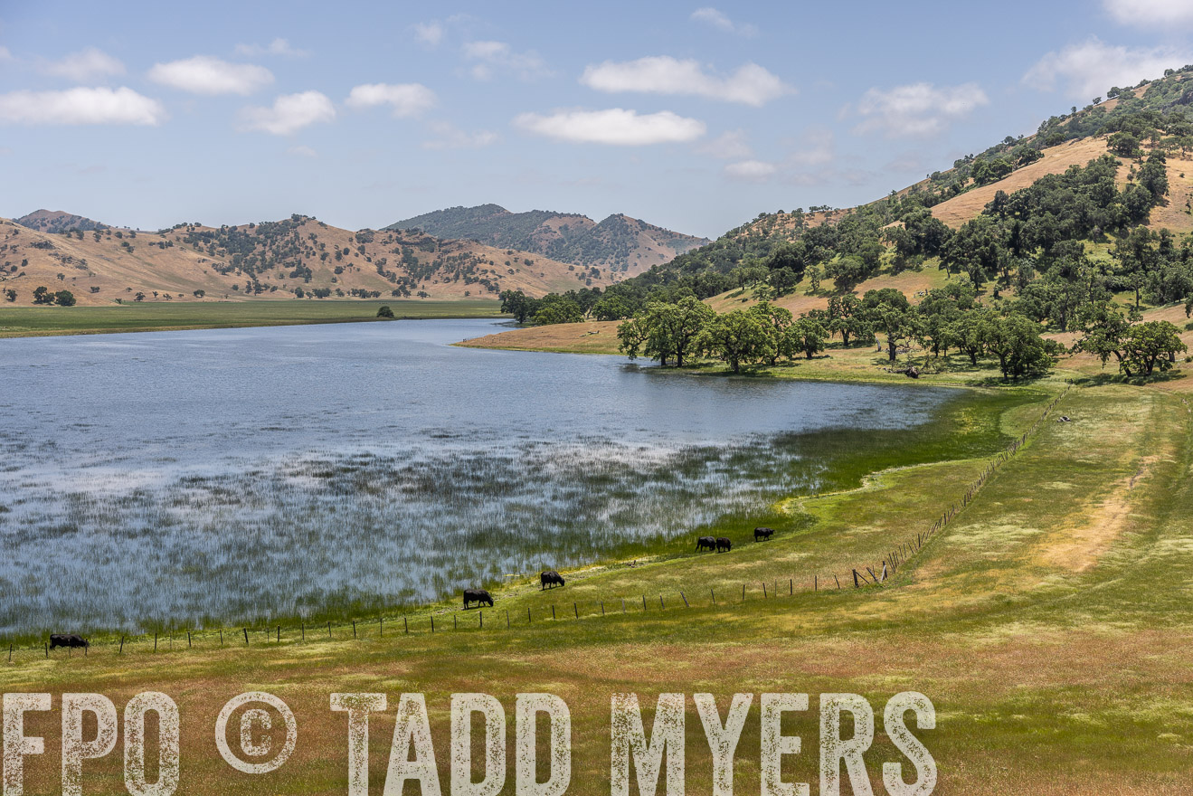 TMyers_SanBenitoRanch_CA_May2023-521561