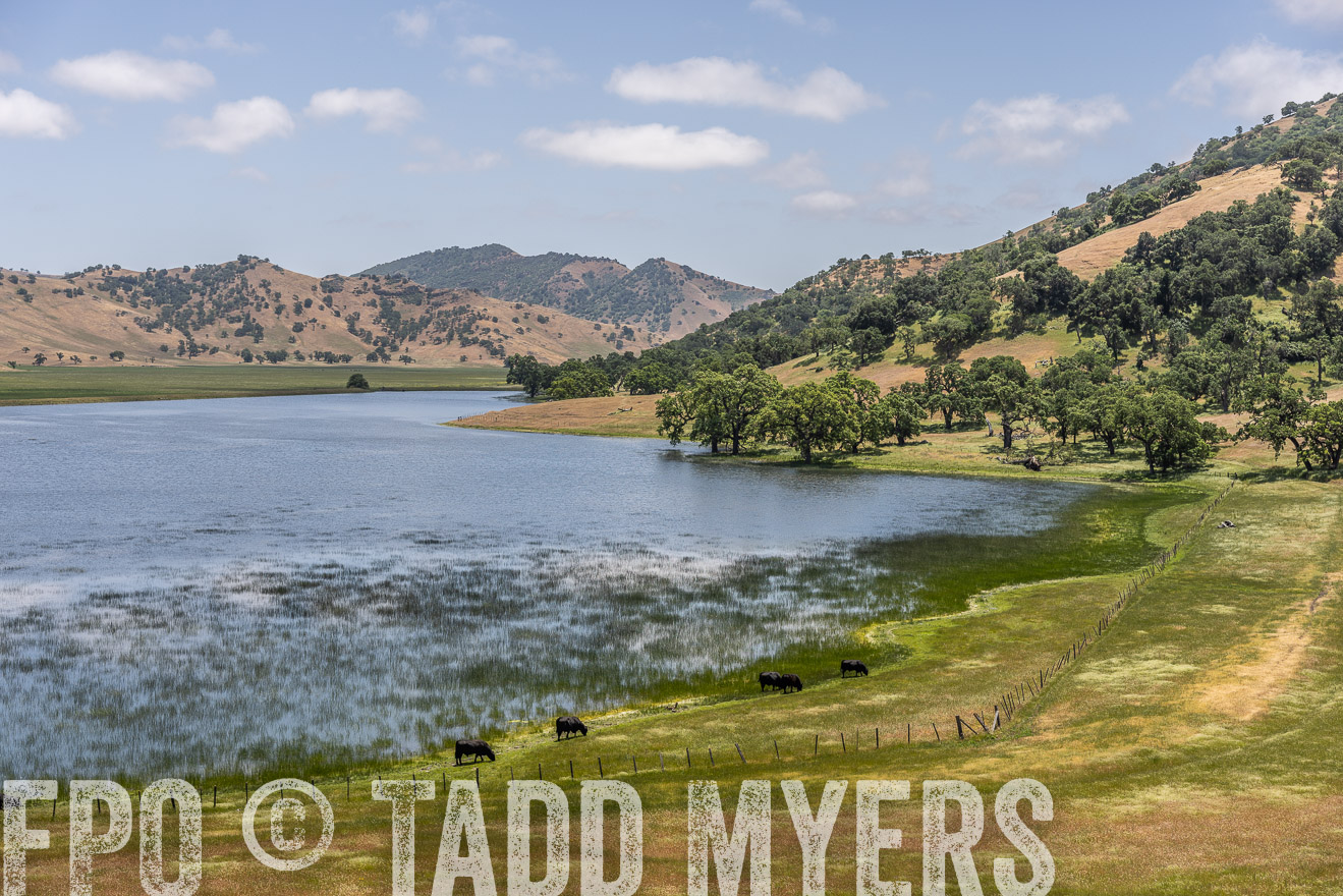 TMyers_SanBenitoRanch_CA_May2023-521565