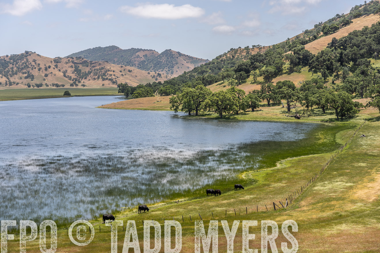 TMyers_SanBenitoRanch_CA_May2023-521571