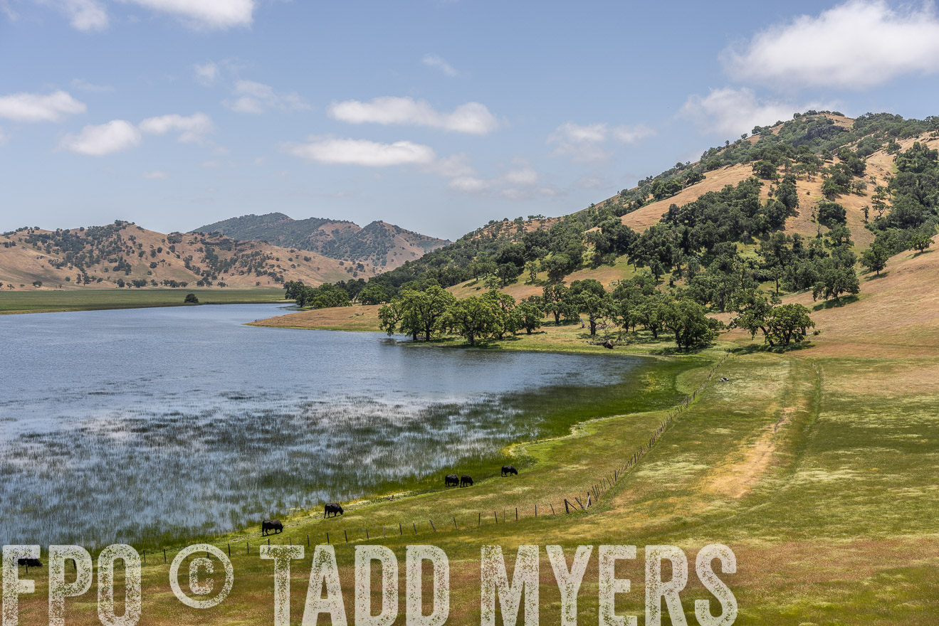 TMyers_SanBenitoRanch_CA_May2023-521591