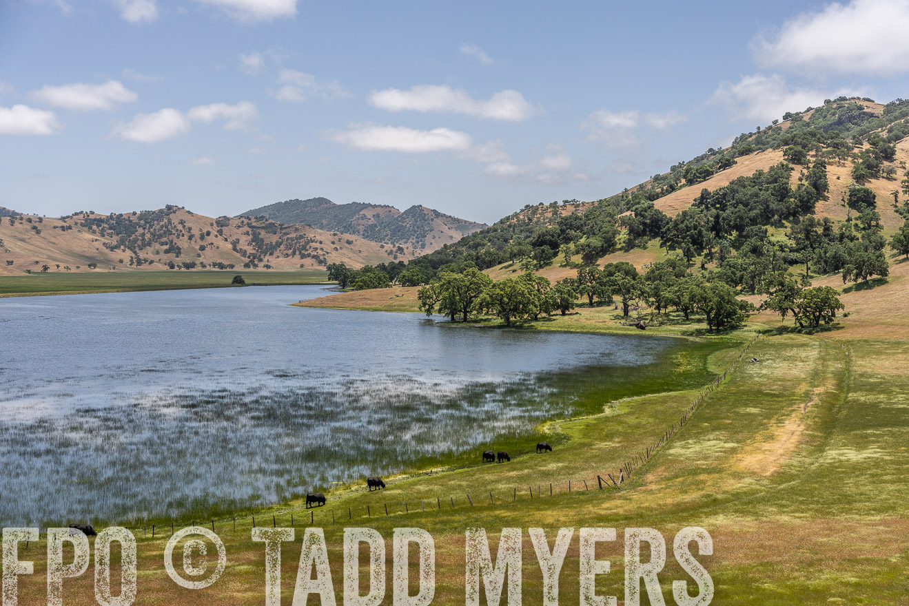TMyers_SanBenitoRanch_CA_May2023-521594