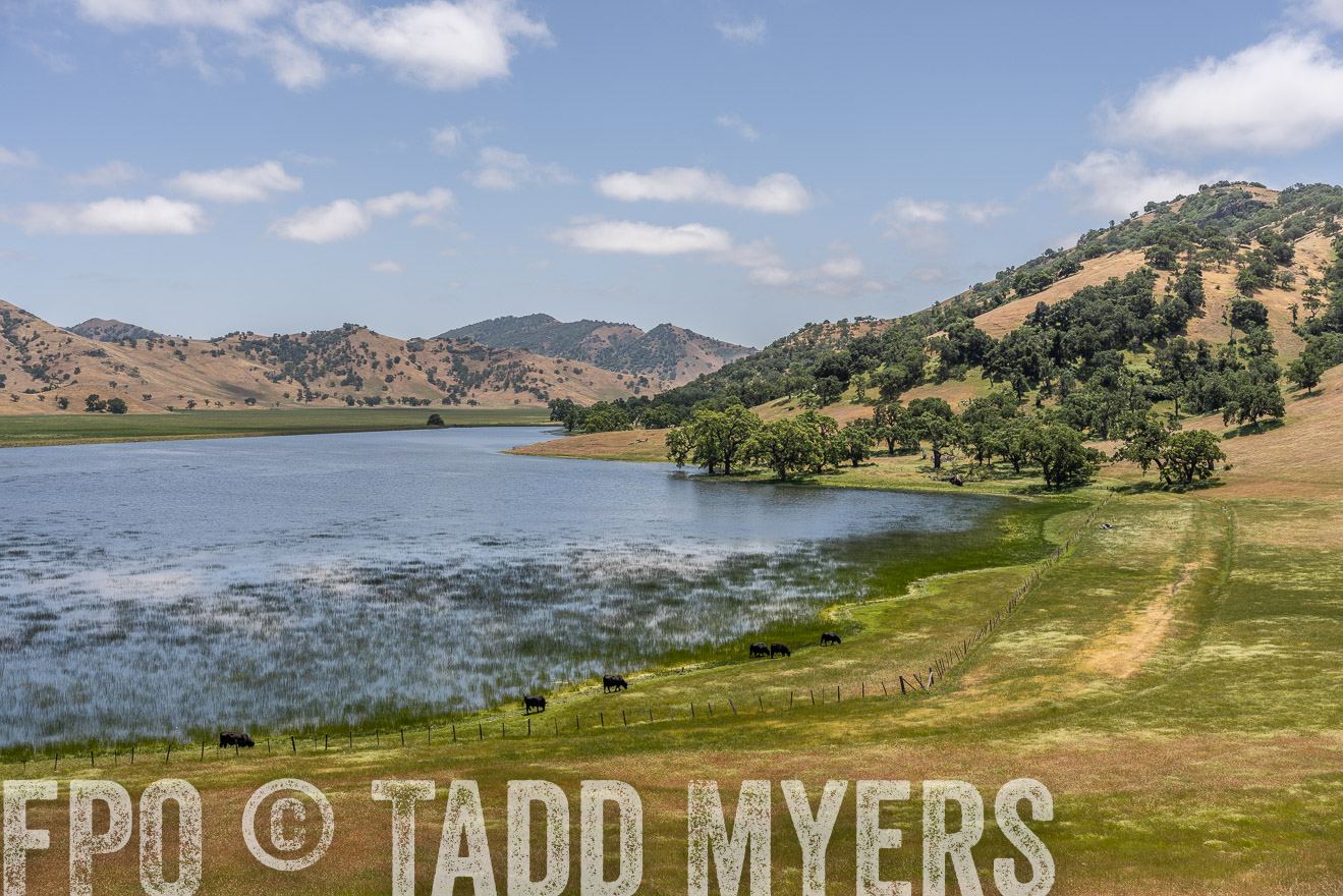 TMyers_SanBenitoRanch_CA_May2023-521603