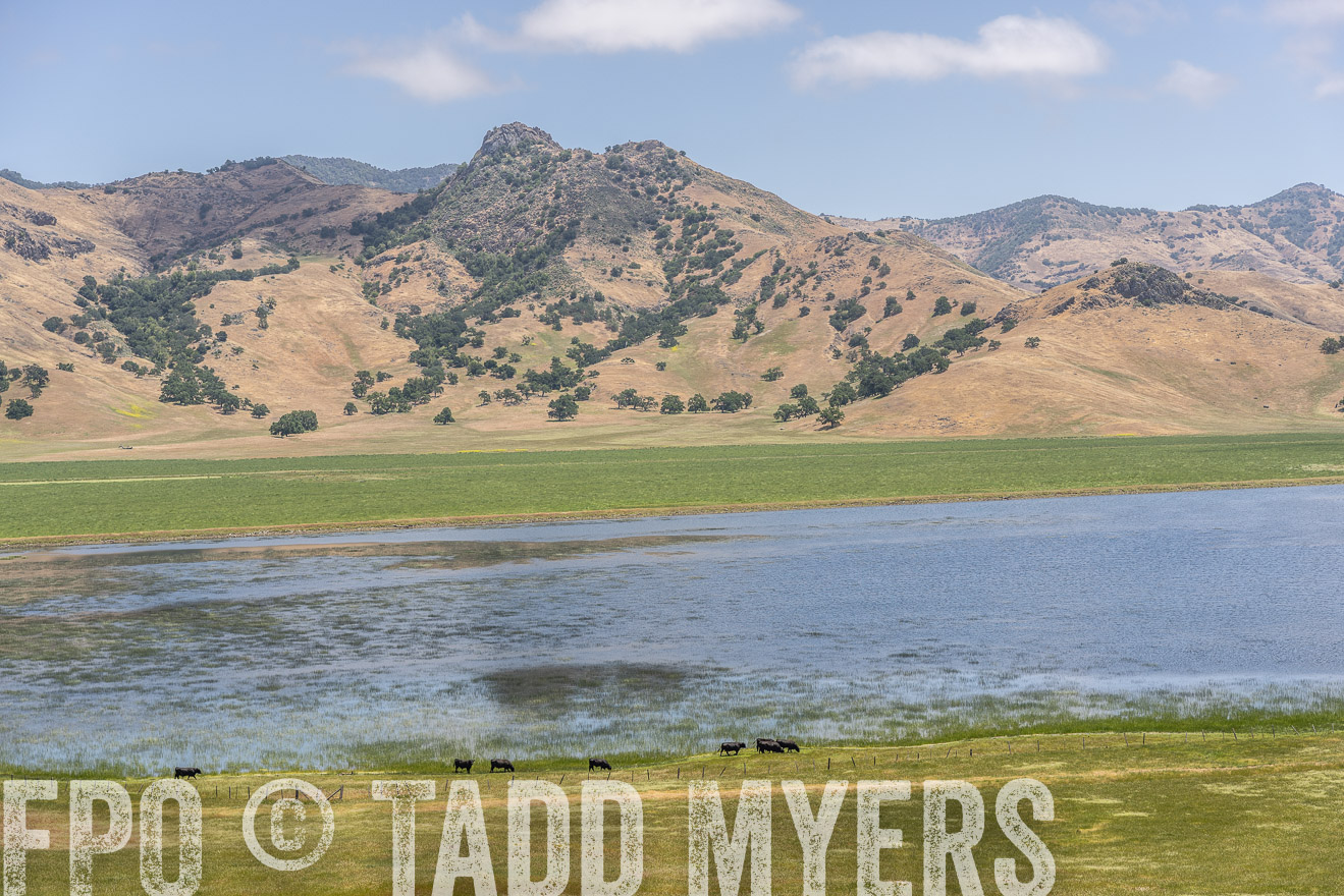 TMyers_SanBenitoRanch_CA_May2023-521618