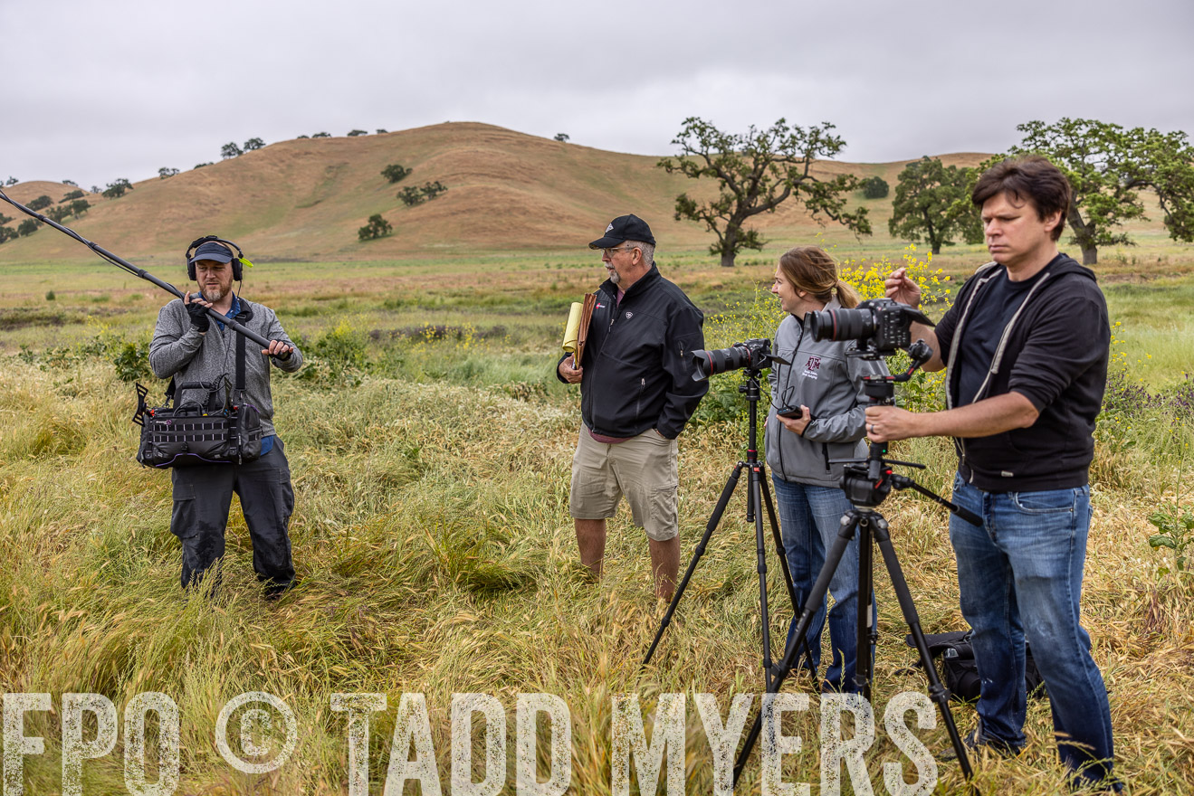 TMyers_SanBenitoRanch_CA_May2023-522012