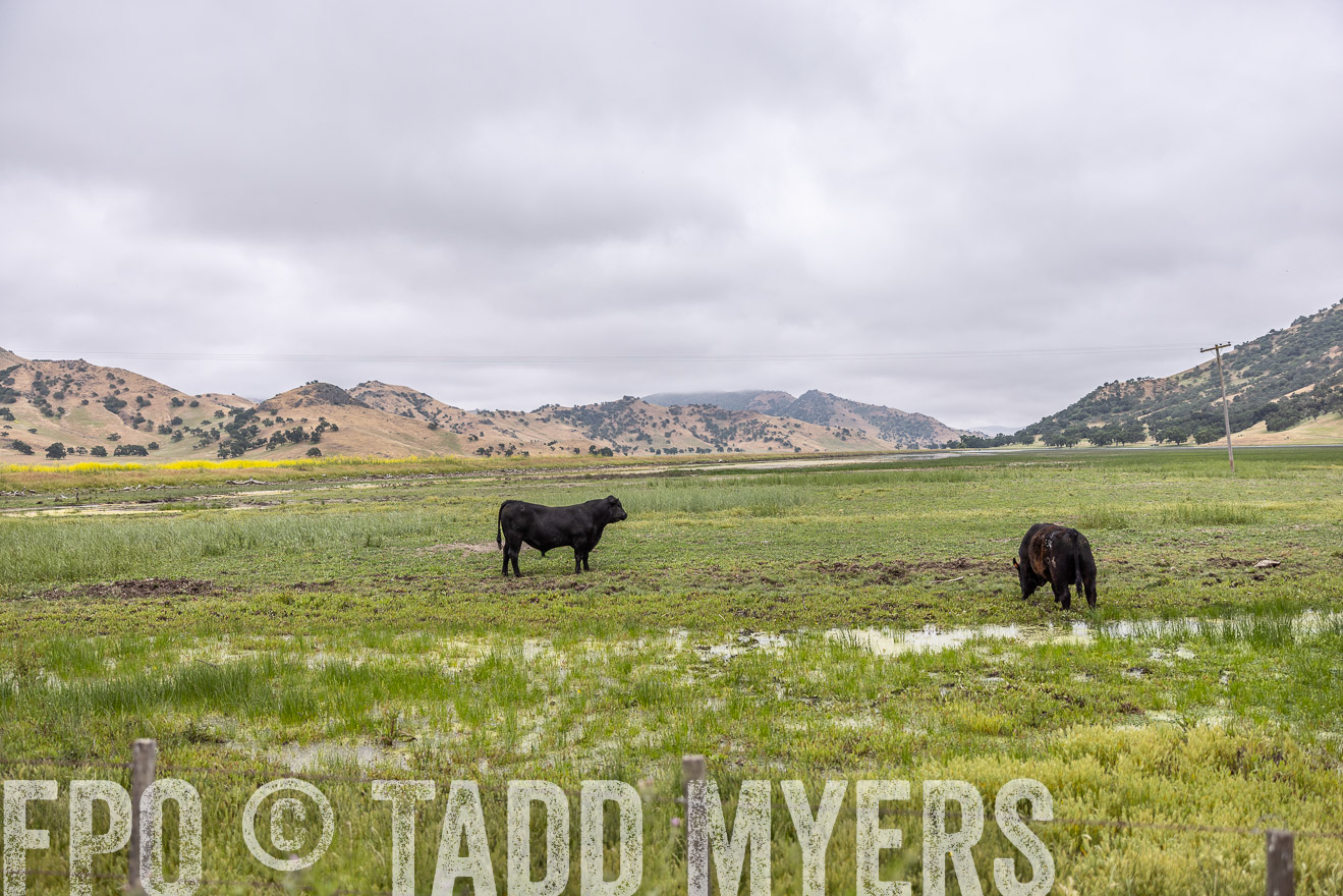 TMyers_SanBenitoRanch_CA_May2023-522623