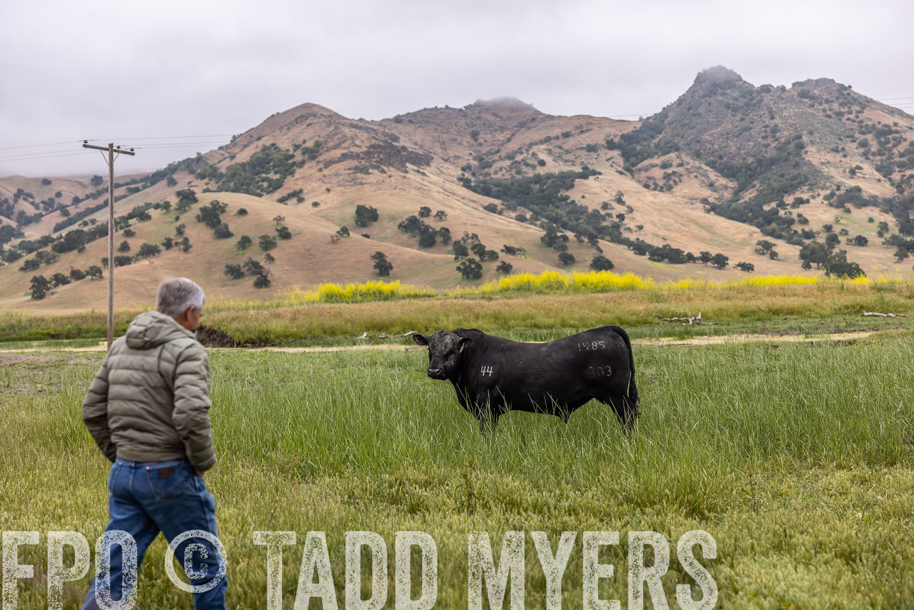 TMyers_SanBenitoRanch_CA_May2023-522707