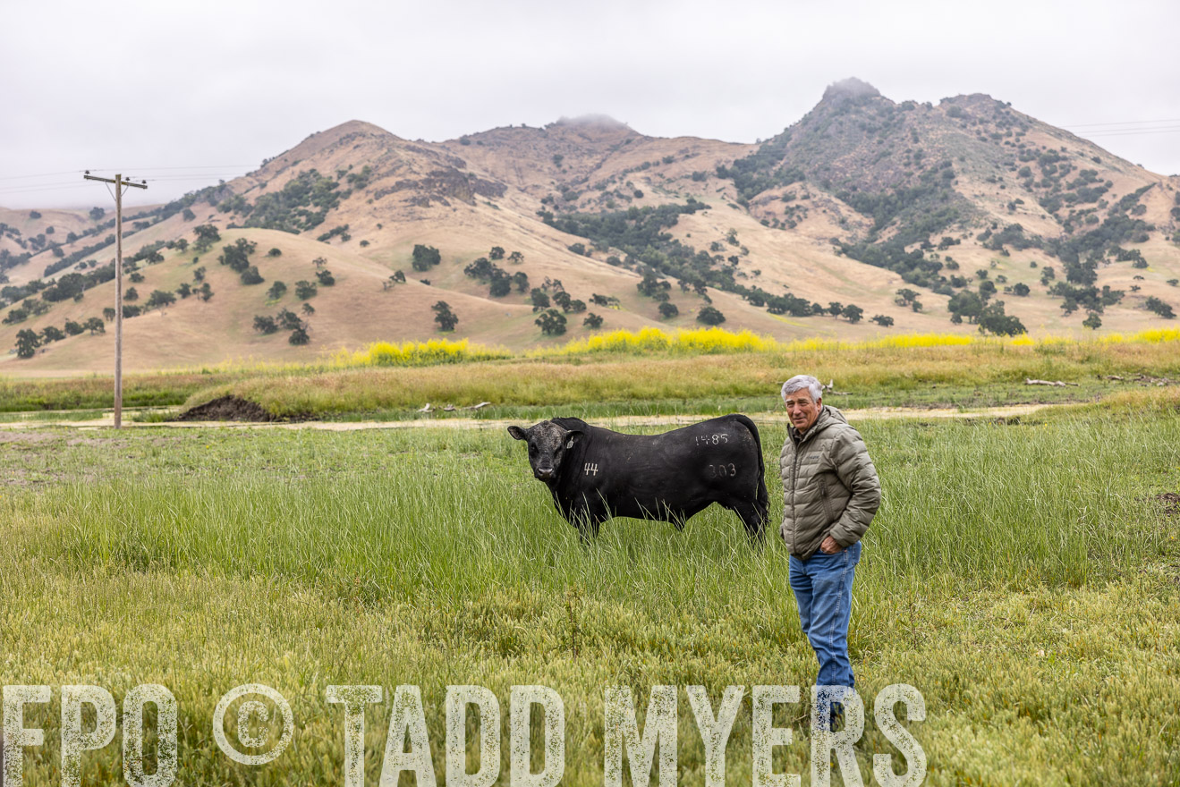 TMyers_SanBenitoRanch_CA_May2023-522727