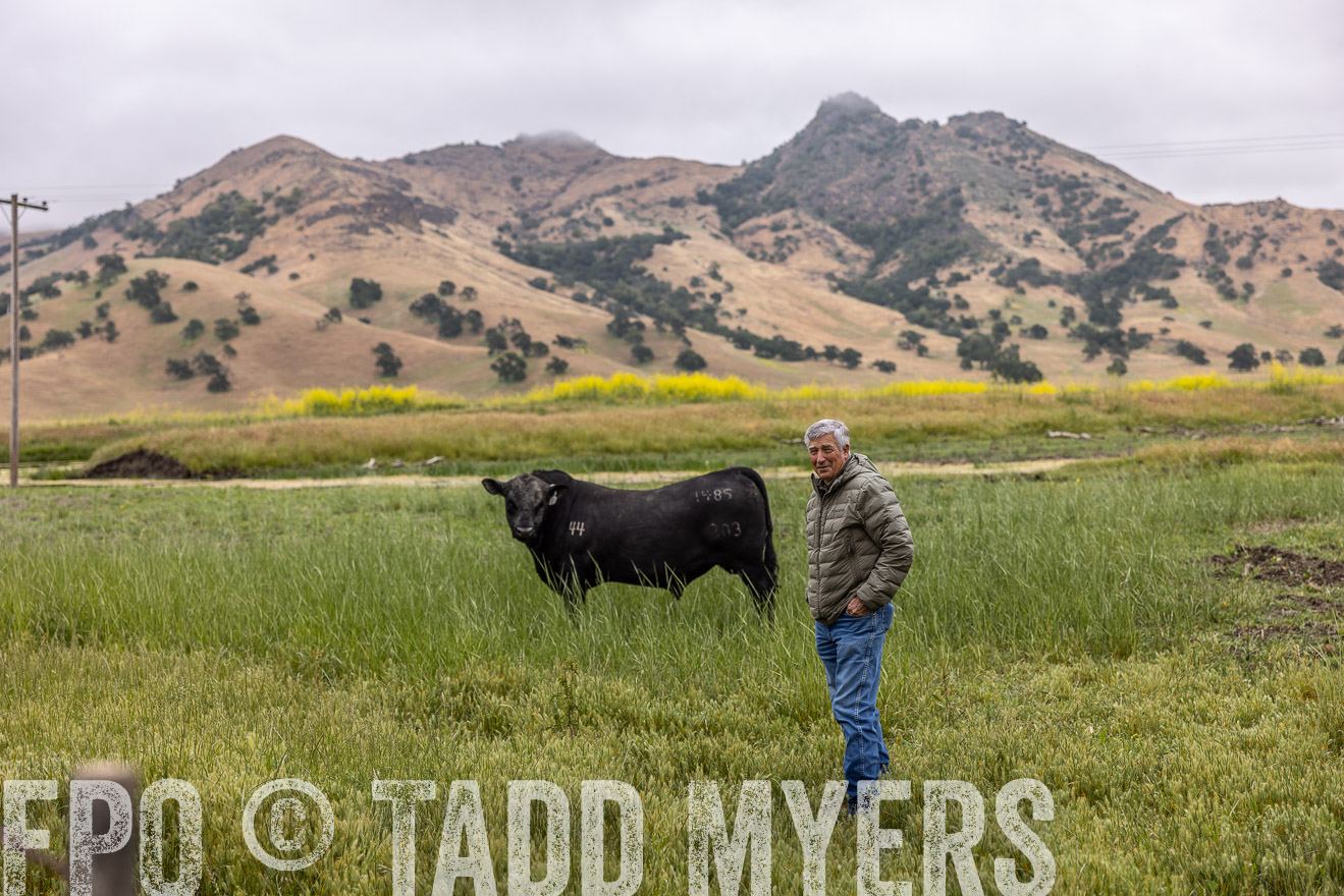 TMyers_SanBenitoRanch_CA_May2023-522731