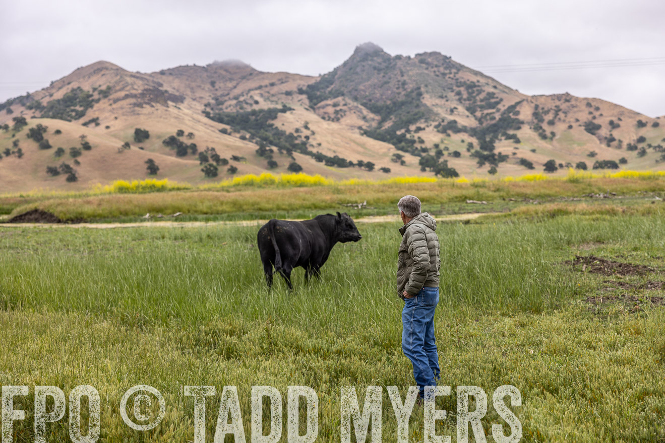 TMyers_SanBenitoRanch_CA_May2023-522758