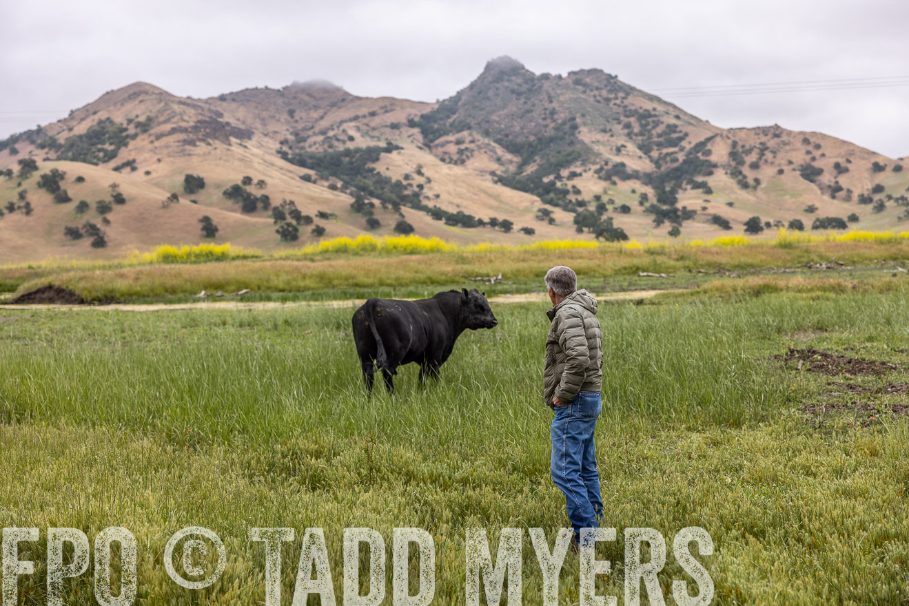 TMyers_SanBenitoRanch_CA_May2023-522760