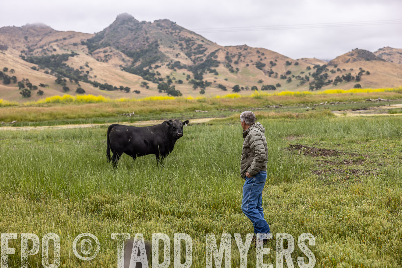 TMyers_SanBenitoRanch_CA_May2023-522773