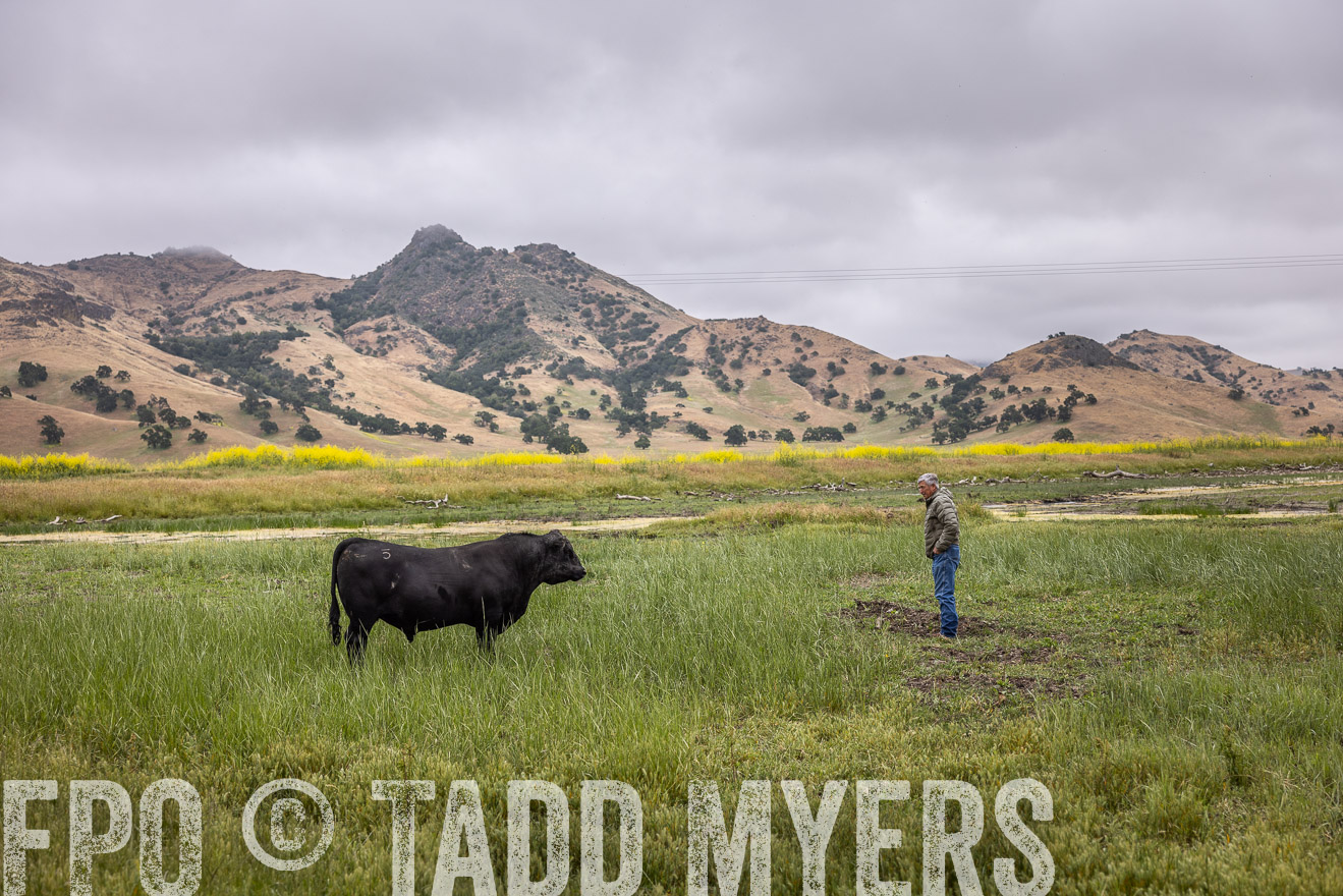 TMyers_SanBenitoRanch_CA_May2023-522815