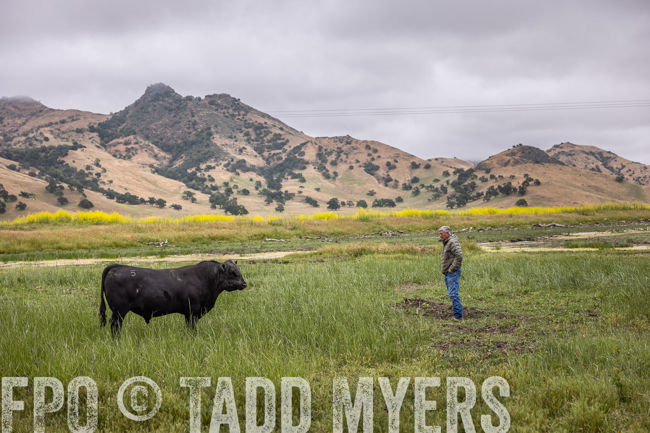 TMyers_SanBenitoRanch_CA_May2023-522822