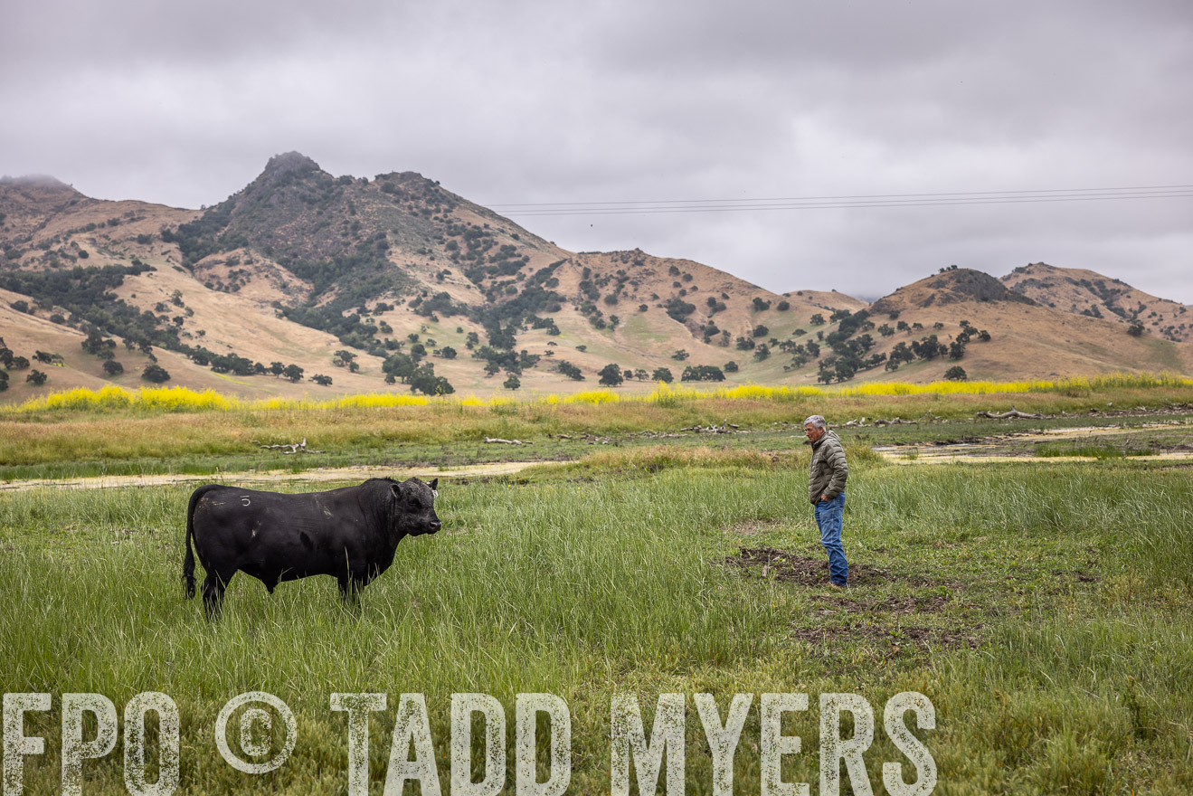 TMyers_SanBenitoRanch_CA_May2023-522824