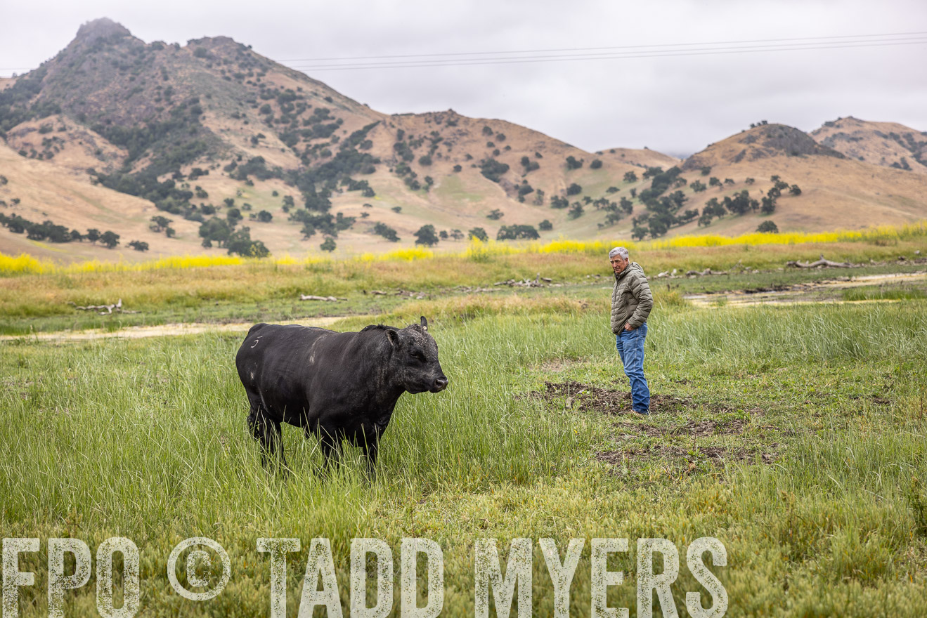 TMyers_SanBenitoRanch_CA_May2023-522844