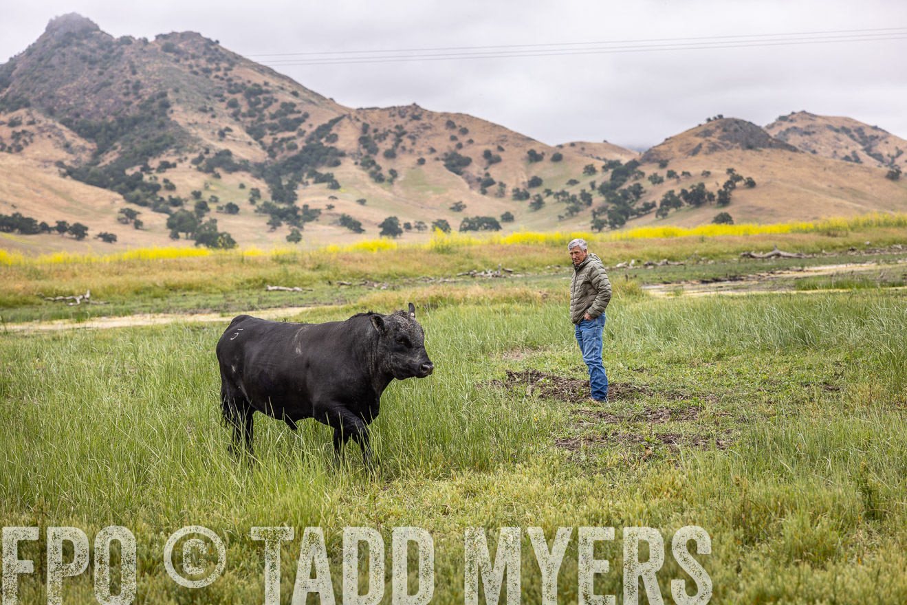 TMyers_SanBenitoRanch_CA_May2023-522849