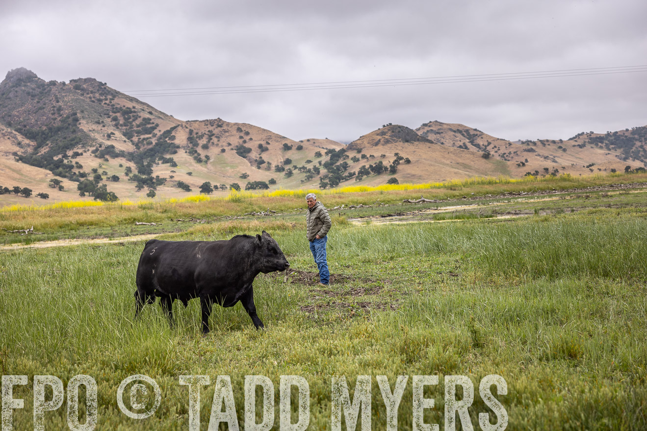 TMyers_SanBenitoRanch_CA_May2023-522852