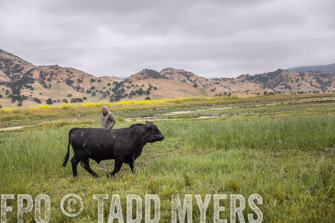 TMyers_SanBenitoRanch_CA_May2023-522864