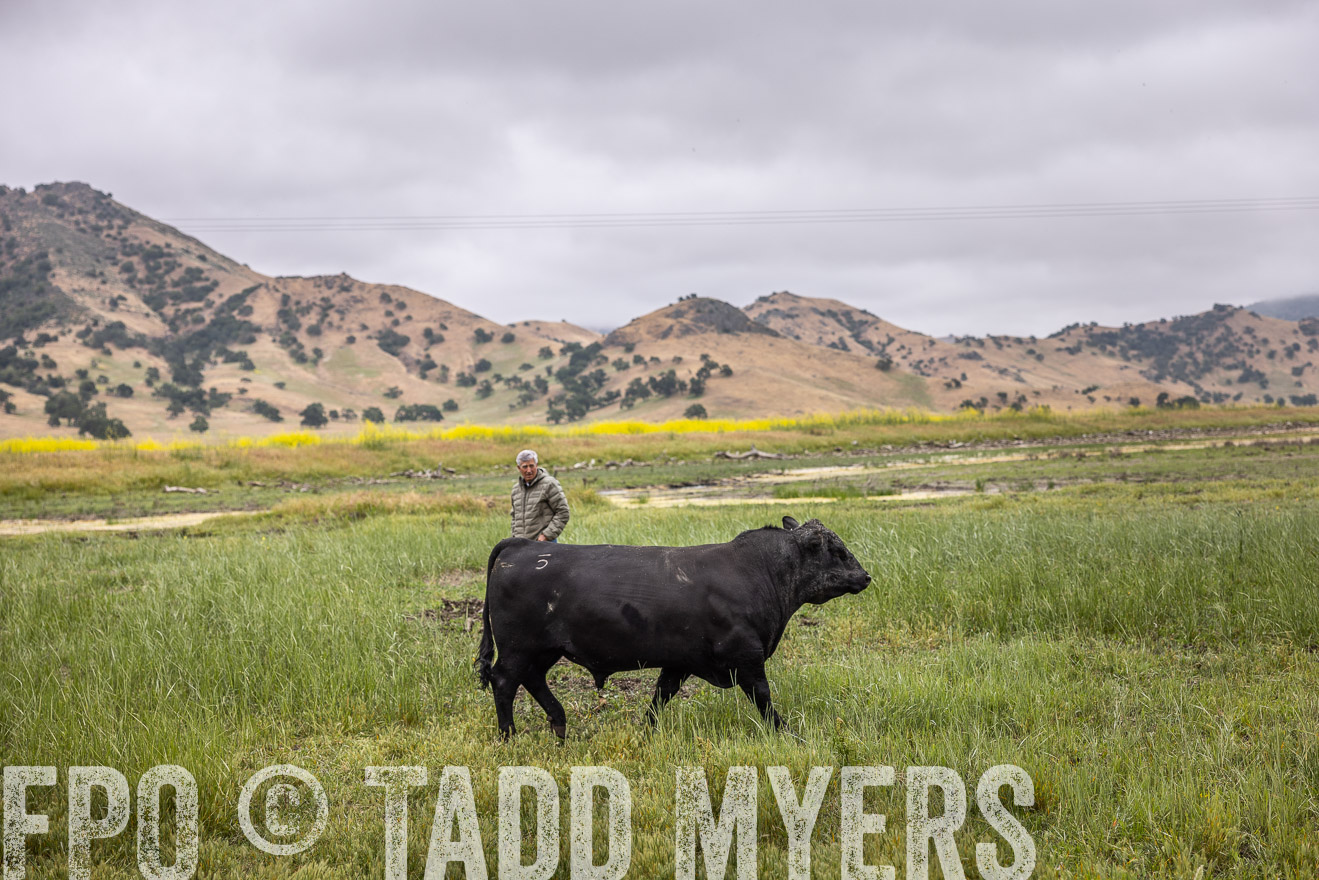 TMyers_SanBenitoRanch_CA_May2023-522867