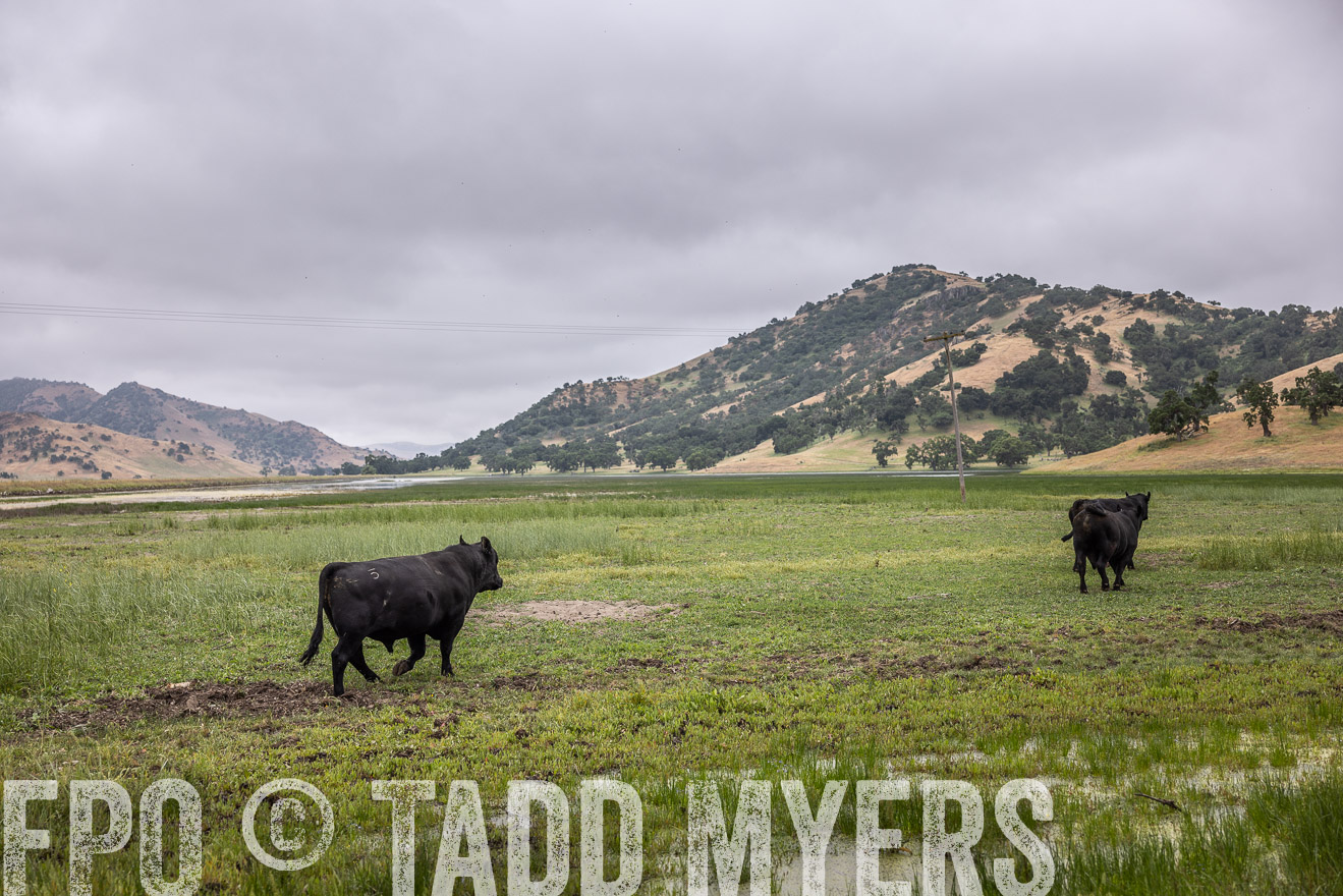 TMyers_SanBenitoRanch_CA_May2023-522900