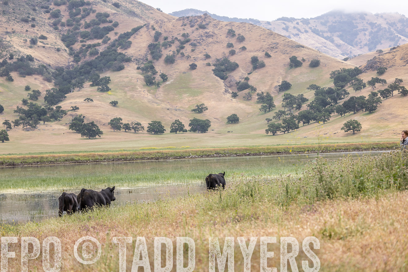 TMyers_SanBenitoRanch_CA_May2023-524146